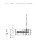 Protein Scaffolds diagram and image