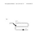 Pharmaceutical Composition for Treating A Metabolic Syndrome diagram and image