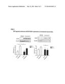 SKIN WOUND HEALING AND SCAR REDUCTION WITH PROSTAGLANDIN EP4 AGONIST     COMBINATIONS diagram and image