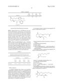 SKIN WOUND HEALING AND SCAR REDUCTION WITH PROSTAGLANDIN EP4 AGONIST     COMBINATIONS diagram and image