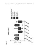 METHODS OF TREATING CANCER WITH GLUT INHIBITORS AND OXIDATIVE     PHOSPHORYLATION INHIBITORS diagram and image