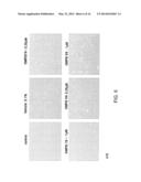 TELOMERASE ACTIVATING COMPOUNDS AND METHODS OF USE THEREOF diagram and image