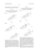 NON-HORMONAL STEROID MODULATORS OF NF-kB FOR TREATMENT OF DISEASE diagram and image