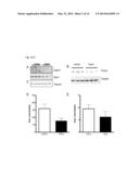 AGENTS USEFUL FOR TREATING FRIEDREICH S ATAXIA AND OTHER NEURODEGENERATIVE     DISEASES diagram and image