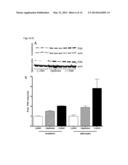 AGENTS USEFUL FOR TREATING FRIEDREICH S ATAXIA AND OTHER NEURODEGENERATIVE     DISEASES diagram and image