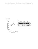 AGENTS USEFUL FOR TREATING FRIEDREICH S ATAXIA AND OTHER NEURODEGENERATIVE     DISEASES diagram and image