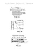 MITOCHONDRIA-TARGETED ANTI-TUMOR AGENTS diagram and image