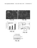 MITOCHONDRIA-TARGETED ANTI-TUMOR AGENTS diagram and image