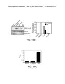 MITOCHONDRIA-TARGETED ANTI-TUMOR AGENTS diagram and image