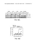 MITOCHONDRIA-TARGETED ANTI-TUMOR AGENTS diagram and image