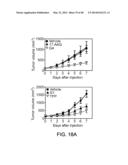 MITOCHONDRIA-TARGETED ANTI-TUMOR AGENTS diagram and image