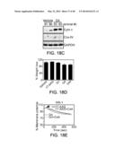 MITOCHONDRIA-TARGETED ANTI-TUMOR AGENTS diagram and image