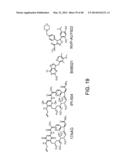 MITOCHONDRIA-TARGETED ANTI-TUMOR AGENTS diagram and image