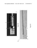 Multimodal Imaging Systems, Probes and Methods diagram and image