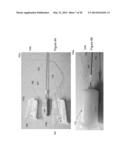 Interface Devices, Systems and Methods for Multimodal Probes diagram and image