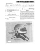 Head and Neck Restraining System diagram and image