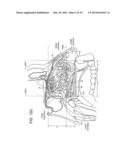 NASAL ADMINISTRATION diagram and image