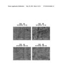 METHOD OF CLEANING RESIDUE FROM A SURFACE USING A HIGH EFFICIENCY     DISPOSABLE CELLULOSIC WIPER diagram and image