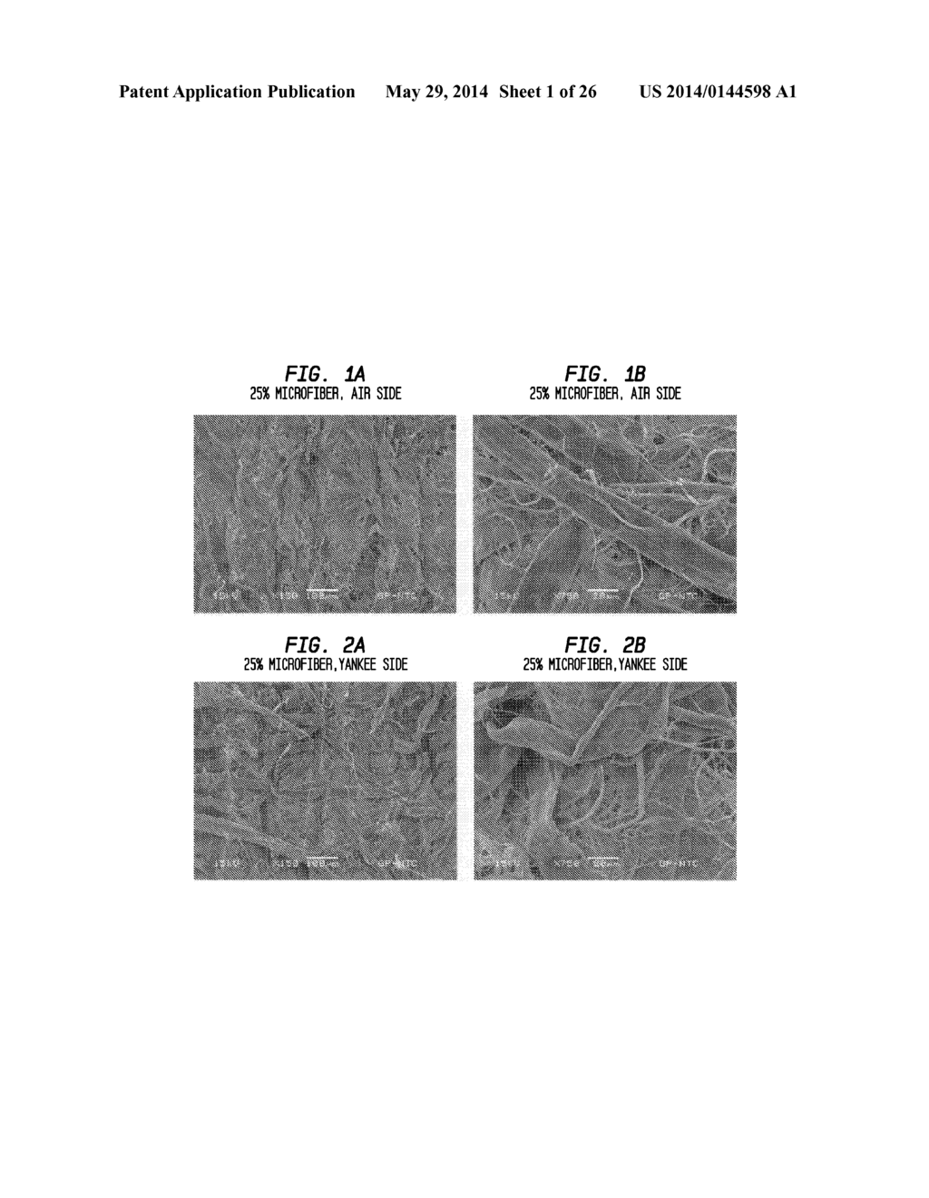 HIGH EFFICIENCY DISPOSABLE CELLULOSIC WIPER - diagram, schematic, and image 02