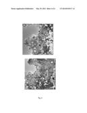 COKE RESISTANT SOLID CATALYST, PROCESS FOR THE PREPARATION THEREOF AND A     PROCESS FOR VAPOUR PHASE DRY REFORMING OF METHANE diagram and image