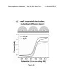 NANOWIRE ELECTRODE SENSOR diagram and image