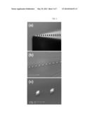 Z-MICROSCOPY diagram and image