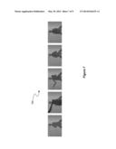 PRACTICAL TEMPORAL CONSISTENCY FOR VIDEO APPLICATIONS diagram and image