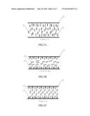 Reactive Monomer of Liquid Crystal on Polyimide Surface of Alignment Film     and Liquid Crystal Panel diagram and image