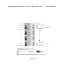 METHOD AND APPARATUS FOR HANDLING DOWNLINK REFERENCE SIGNAL INTERFERENCE     TO PDSCH IN LONG TERM EVOLUTION COORDINATED MULTIPOINT TRANSMISSION diagram and image