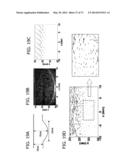 DIRECT ECHO PARTICLE IMAGE VELOCIMETRY FLOW VECTOR MAPPING ON ULTRASOUND     DICOM IMAGES diagram and image