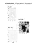 DIRECT ECHO PARTICLE IMAGE VELOCIMETRY FLOW VECTOR MAPPING ON ULTRASOUND     DICOM IMAGES diagram and image