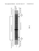 Optical Burst Mode Clock And Data Recovery diagram and image