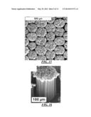 NANOSTRUCTURES PATTERNED BY ELECTROSTATIC PRINTING diagram and image