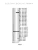 DIAGNOSIS AND TREATMENT OF CANCER USING ANTI-GPR49 ANTIBODY diagram and image