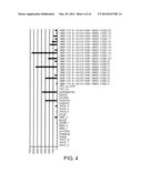 DIAGNOSIS AND TREATMENT OF CANCER USING ANTI-GPR49 ANTIBODY diagram and image