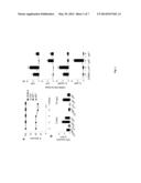 USE OF IL-23 ANTAGONISTS FOR TREATMENT OF INFECTION diagram and image