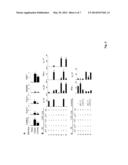 USE OF IL-23 ANTAGONISTS FOR TREATMENT OF INFECTION diagram and image