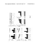 USE OF IL-23 ANTAGONISTS FOR TREATMENT OF INFECTION diagram and image