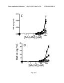 LPRG AS A CHAPERONE OF IMMUNE ADJUVANTS diagram and image