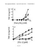 LPRG AS A CHAPERONE OF IMMUNE ADJUVANTS diagram and image