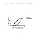 LPRG AS A CHAPERONE OF IMMUNE ADJUVANTS diagram and image