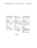 Delivery of Submicrometer and Nanometer Aerosols to the Lungs using     Hygroscopic Excipients or Dual Stream Nasal Delivery diagram and image