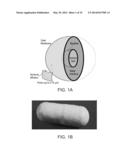 MICROORGANISM COMPRISING PARTICLES AND USES OF SAME diagram and image