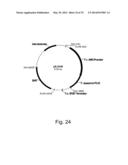 Methods for producing polypeptides in enzyme-deficient mutants of fusarium     venentatum diagram and image