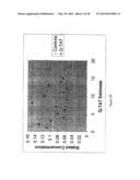 QUANTITATION OF HUMAN GENOMIC AND MITOCHONDRIAL DNA diagram and image