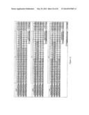 QUANTITATION OF HUMAN GENOMIC AND MITOCHONDRIAL DNA diagram and image