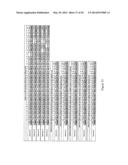 QUANTITATION OF HUMAN GENOMIC AND MITOCHONDRIAL DNA diagram and image