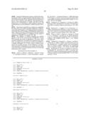 QUANTITATION OF HUMAN GENOMIC AND MITOCHONDRIAL DNA diagram and image