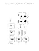 METHODS FOR DIAGNOSIS PROGNOSIS AND METHODS OF TREATMENT diagram and image