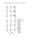 METHODS FOR DIAGNOSIS PROGNOSIS AND METHODS OF TREATMENT diagram and image